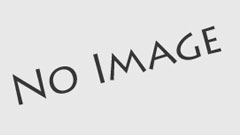 不器用な愛～殿下とライオン～